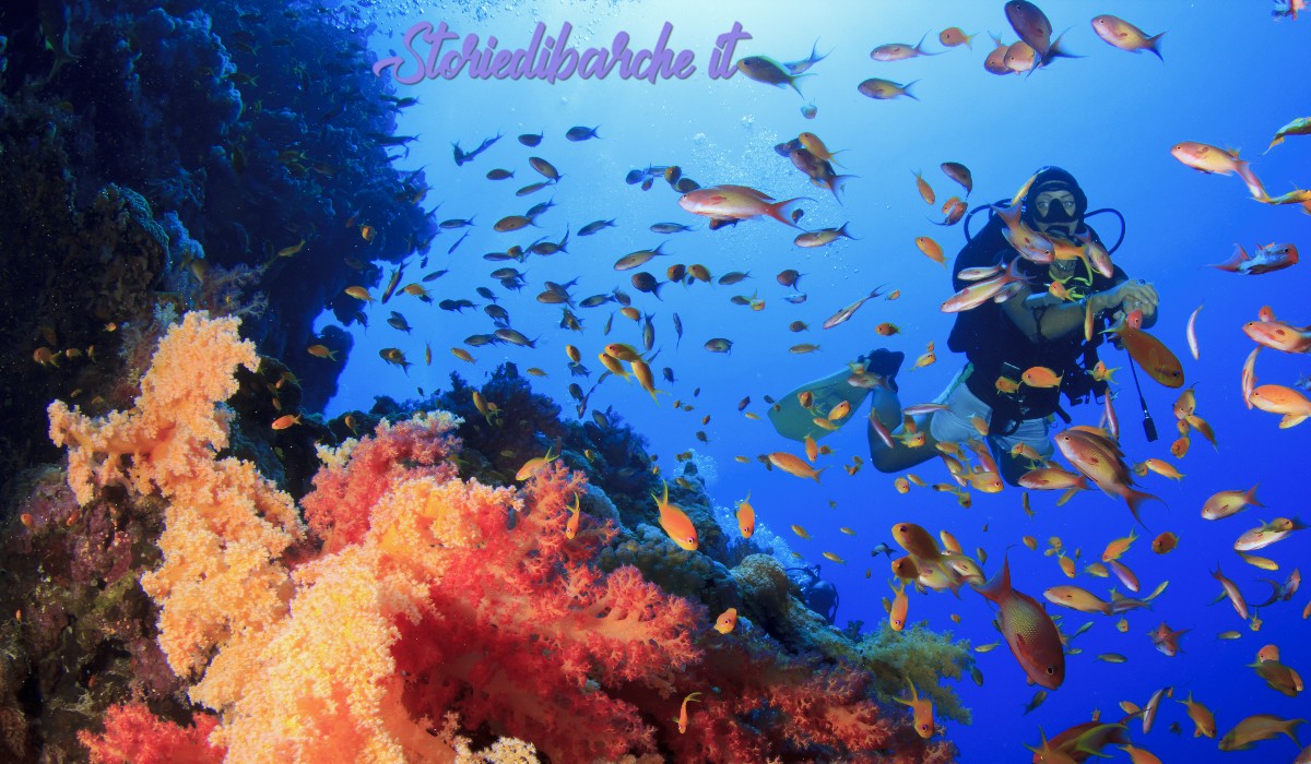 storiedibarche.it storiedibarche.it